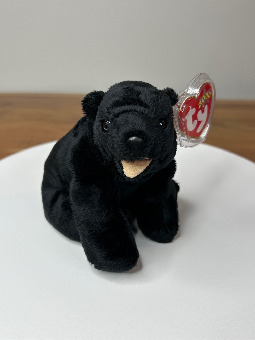 TY Beanie Baby Cinders the Black Bear • 2000 • Display Case Included